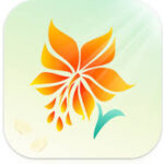 Lily Cash Loan App Review, Is Lily Cash Loan App Legit? (Find Out)